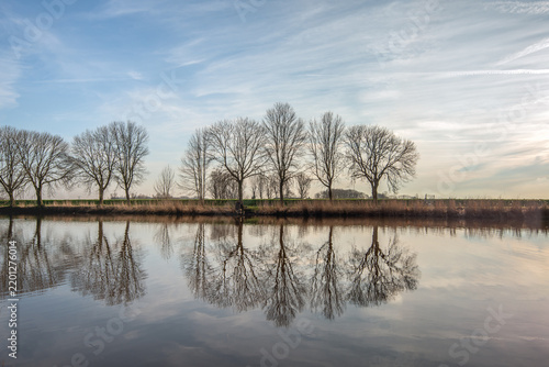 Row of bare trees reflected in the mirror-smooth water of a Dutch lake. The photo was taken on a calm day in winter.