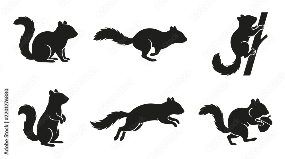 Obraz premium vector of squirrel silhouette animal illustration nature
