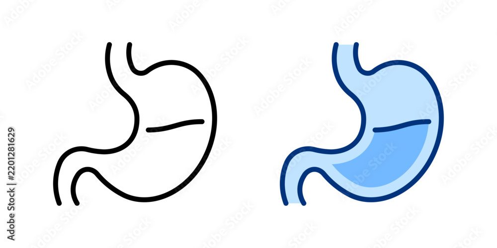 Fototapeta premium Stomach thin line, filled icon set. Anatomy, Human Internal Organ, Digestive System, Anatomical Structures, Medical, Digestion concept. Black, blue outline vector icons.