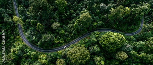 Aerial drone top down birds eye view of white car traveling on curved winding asphalt road cutting through dense lush green tropical rainforest canopy landscape
