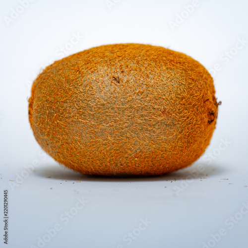 Single whole unpeeled kiwi fruit with fuzzy brown skin isolated on a white studio background