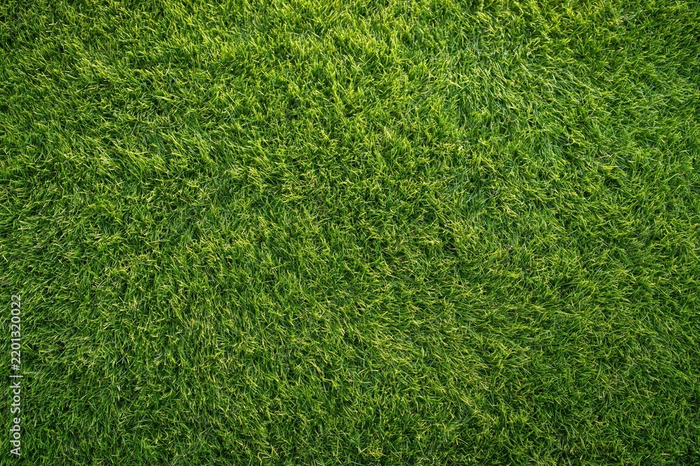 Obraz premium The Grass Closeup Showcasing Vibrant Green Blades Across a Textured Field
