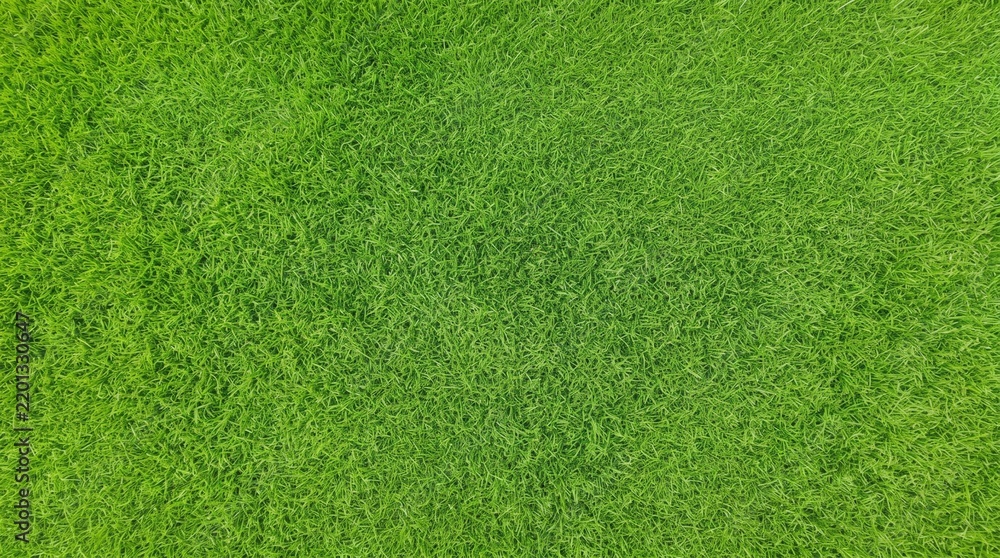 Fototapeta premium Lush green grass texture close-up