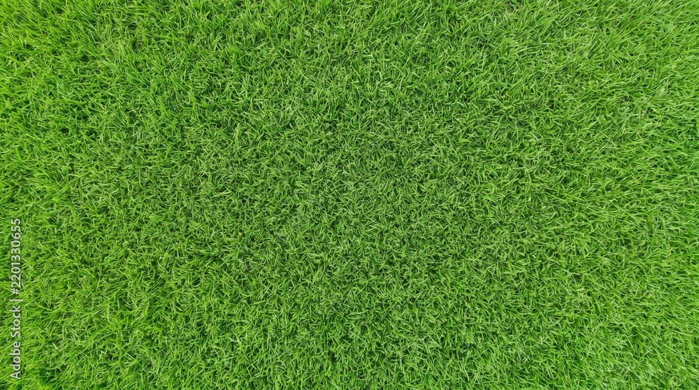 Fototapeta premium Lush green grass texture close-up