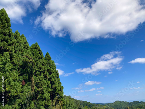 Plakat 森と山に広がる青空