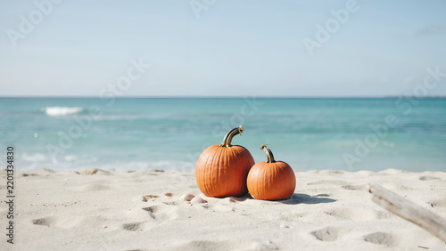 Two orange pumpkins sitting on a sandy beach with a turquoise ocean and clear blue sky in the background during a sunny day