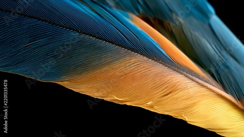 Macro photography of vibrant blue and yellow macaw parrot feathers.