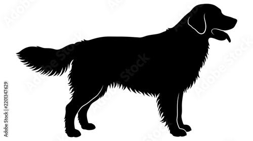 Dog silhouette illustration showcasing a loyal golden retriever standing proudly in profile.
