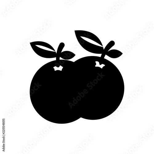 Twin Oranges with Foliage and Stems Fruit Icon