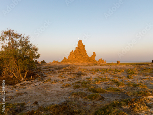 A tamarisk tree grows beside a limestone chimney rock formation at sunset, Afar depression, Lake Abbe, Djibouti