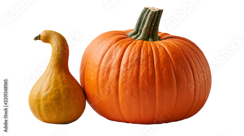 Fotografie Round orange pumpkin and small yellow pear shaped gourd