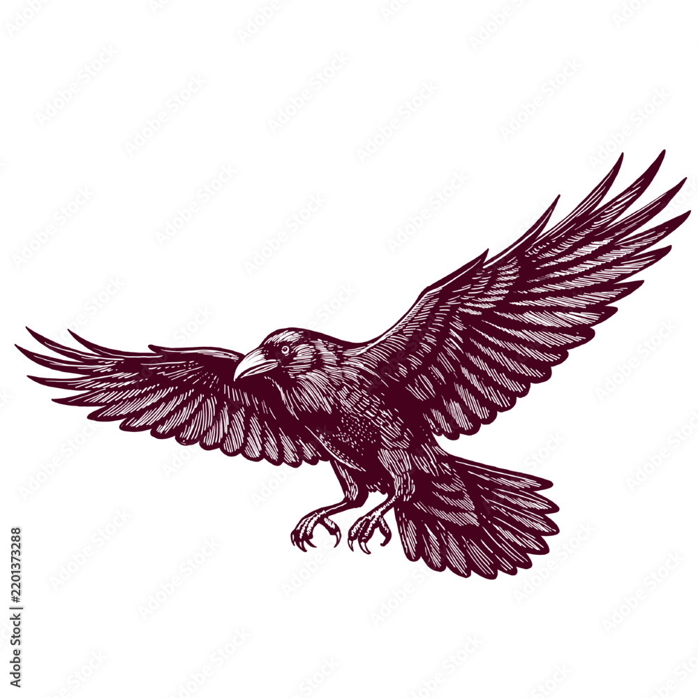 Obraz premium Flying eagle with spread wings and detailed feathers, vintage engraved illustration, halloween illustration