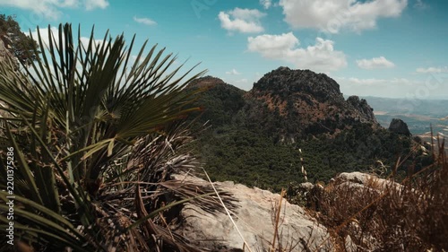 Static view from a rocky overlook with fan palm leaves framing a lush dense forested mountain peak in El Chorro Andalusia Spain under a partly cloudy blue sky