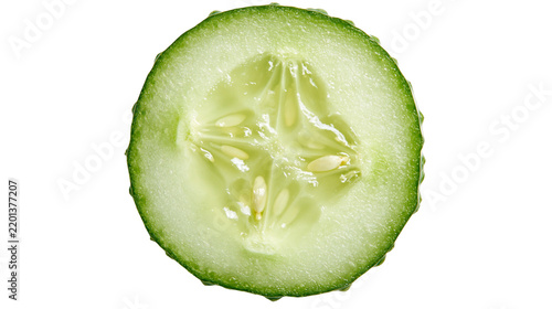 Fresh green cucumber slice with visible seeds and textured skin