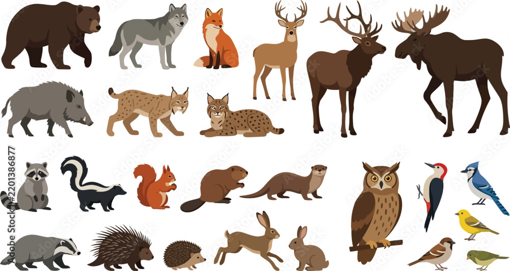 Obraz premium Woodland Forest Animals Collection in Flat Vector Style for Children's Designs