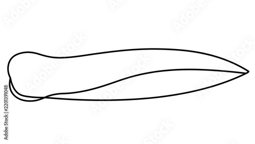 Simple fish illustration white background.