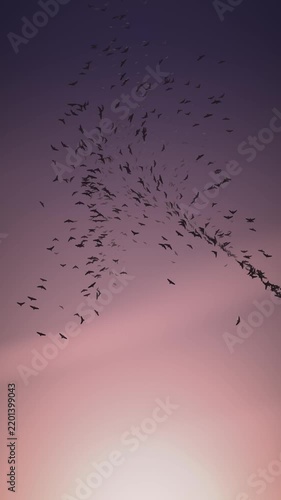Starling Murmuration Bird Flock at Dusk Seamless Loop in vibrant rose tones vertical 9:16