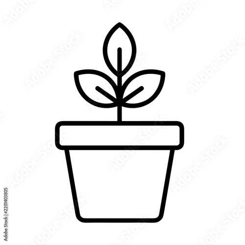 Obraz na płótnie plant in a pot