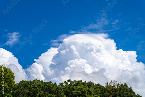 森の上に立ち上がる夏の積乱雲