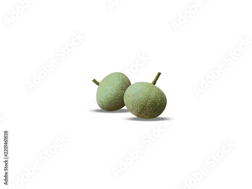 Trewia nudiflora or Mallotus nudiflorus fruits isolated on a white background