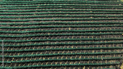 blue fabric texture