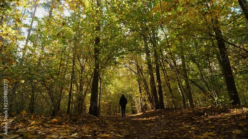 Static low angle shot of man walking away along forest path