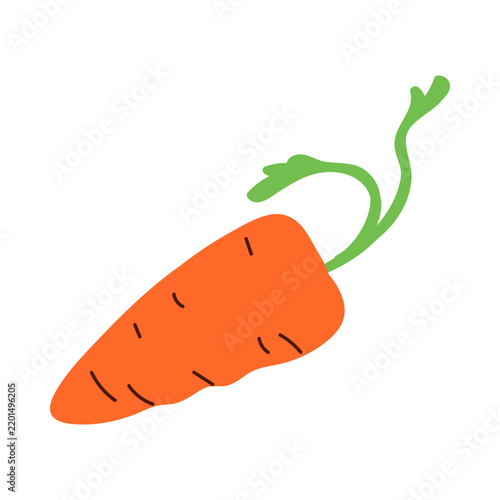Isolated orange carrot with green leafy stem in flat style vector illustration