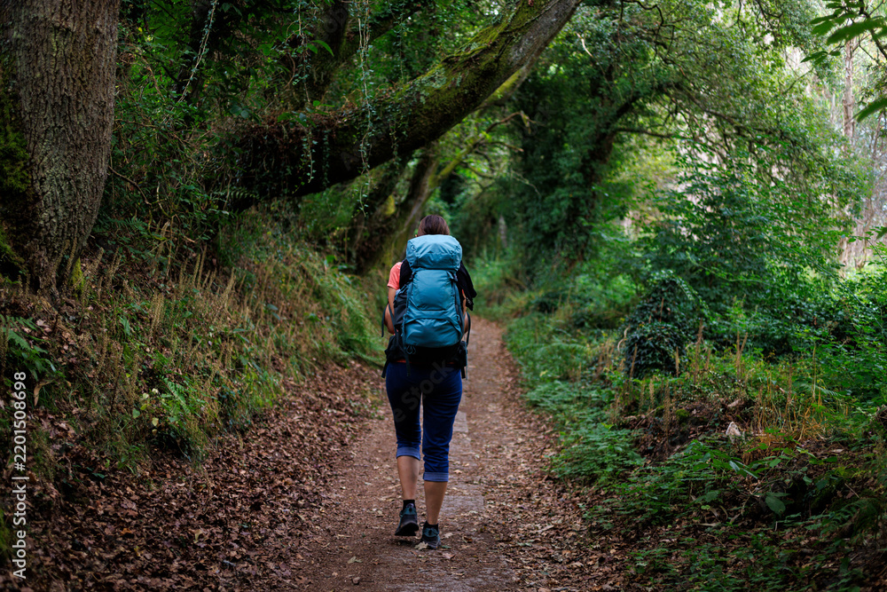 Obraz premium Woman Hiker with Backpack on Forest Path, Galicia, Spain