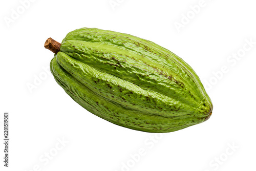 Fresh green cacao pod with detailed textured surface isolated on transparent background. Raw cocoa fruit of Theobroma cacao used for chocolate and cocoa production.