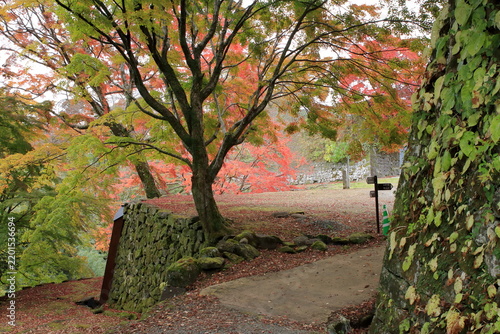 城跡の秋