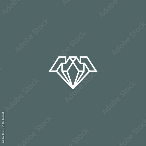 The letter N in a gemstone logo.