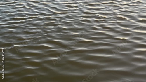 Sunlit Water Ripples with Soft Reflections on Calm Surface Background