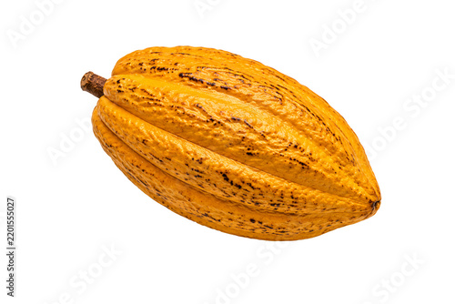 Ripe yellow cacao pod with natural textured surface isolated on transparent background. Tropical cocoa fruit used for cacao beans, cocoa and chocolate production.