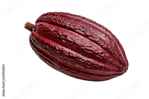 Ripe red cacao pod with detailed ribbed and textured surface isolated on transparent background. Tropical cocoa fruit of Theobroma cacao used for cocoa beans and chocolate production.