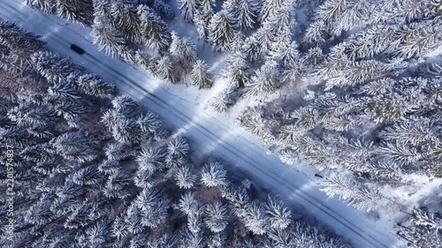Black car driving on a snowy road in a winter forest