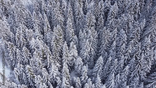 Drone flying above snow covered winter forest