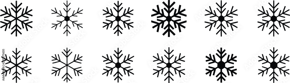 Obraz premium Twelve black snowflake arranged in two rows on a white background winter