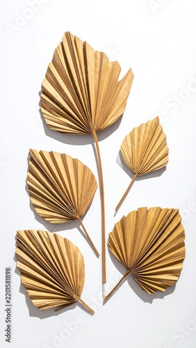 Aesthetic arrangement of dried palm leaves on a white background.