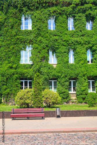 Foto Multi storey house facade completely covered with green plants only windows visible through dense vegetation and ivy on building walls