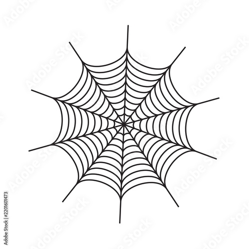 spider web vector