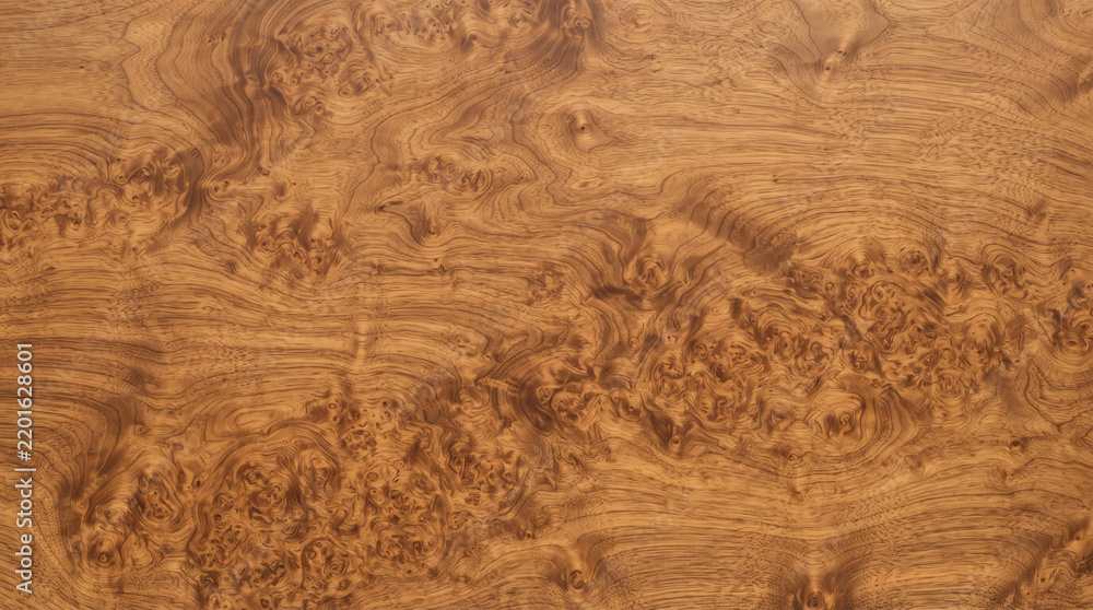 Fototapeta premium Close-up of a warm brown wooden surface with intricate burl grain patterns, showing natural textures and organic shapes suitable for backgrounds.