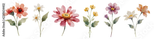 floral wreath, autumn flowers and leaves. Watercolor Collection of spring colorful flower elements 