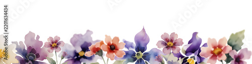 Natural horizontal floral border on isolated background. Hand drawn spring   flowers for wedding invitation and greeting cards