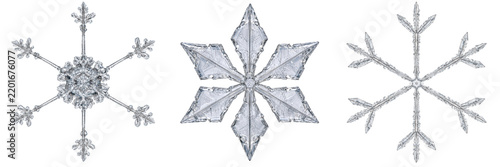Snowflake crystal ice decoration design winter snow holiday season cold christmas illustration