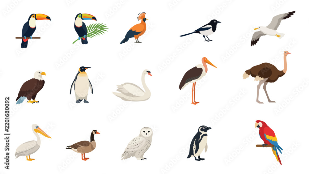 Fototapeta premium Global Wild Birds and Waterfowl Species Flat Vector Illustration Set