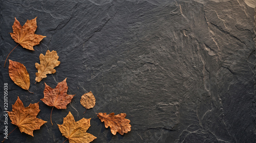 Dark Slate with Dried Autumn Leaves | Rustic Fall Background