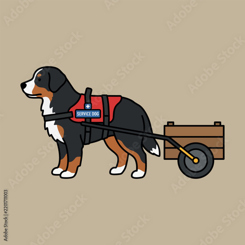 Bernese Mountain Dog Carting Service Animal Pulling Wooden Wagon Illustration.
