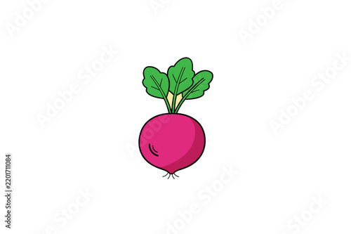 Beetroot design vector on white background