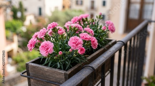 Blooming Pink Carnation Flowers in Wooden Planter Box on Balcony Railing in European Old Town During Sunny Spring