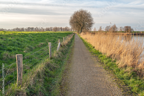 Narrow road along a dike in a Dutch polder. At the foot of the dike is a fence made of wooden posts and wire mesh. The photo was taken on a slightly cloudy day at the end of the winter season.
